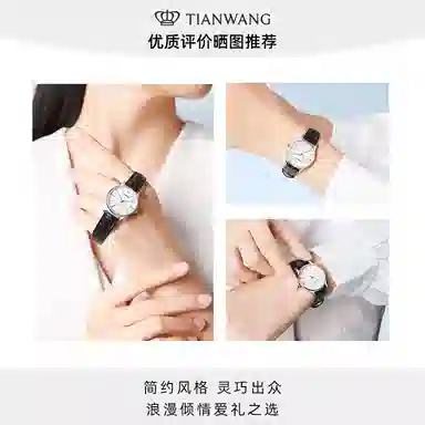 TIANWANG 31331