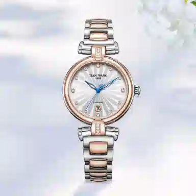 TIANWANG SHINE LS3981