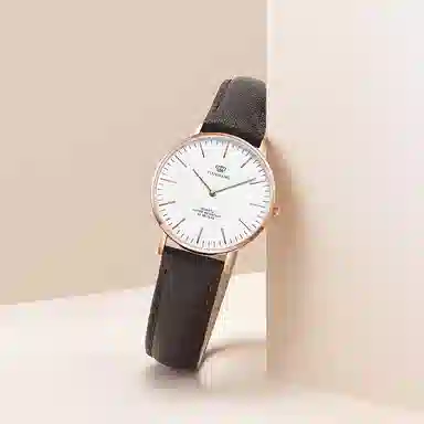 TIANWANG TWINKLE LS3851