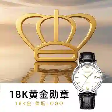 TIANWANG18klogo 3874