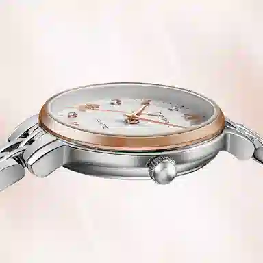 TIANWANGTWINKLE 31374