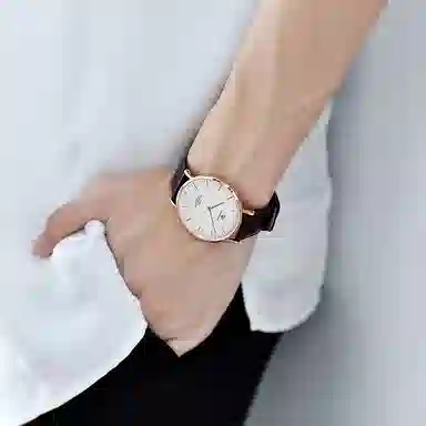 TIANWANGTWINKLE GS3851