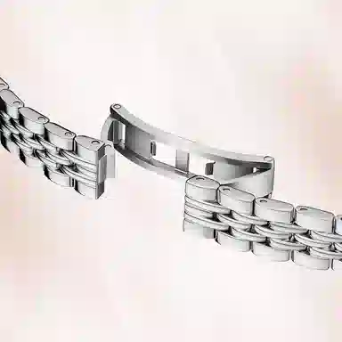 TIANWANGTWINKLE 31374