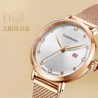 TIANWANG 51196