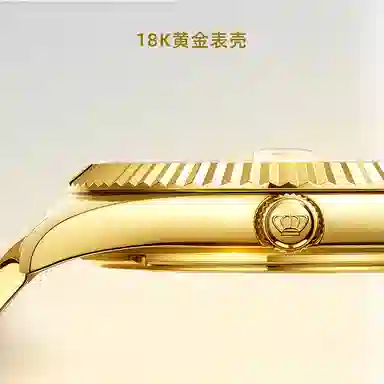 TIANWANG18K LOGO 18K 51550