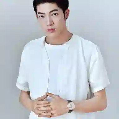 TIANWANGTWINKLE GS3851