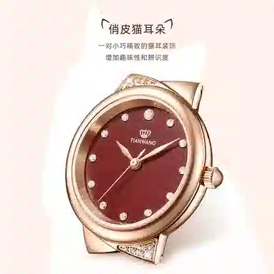 TIANWANG 3951