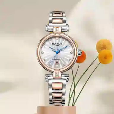 TIANWANG SHINE LS3981