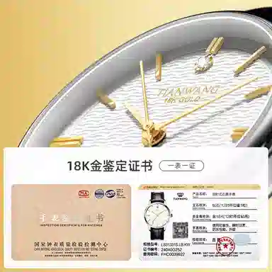 TIANWANG 18klogo