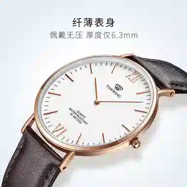 TIANWANGTWINKLE GS3851