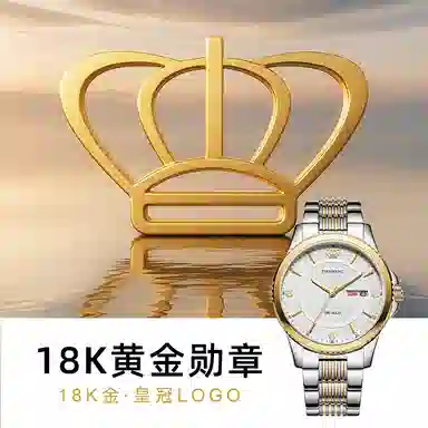 TIANWANG18klogo 3731