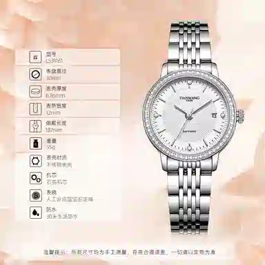 TIANWANG 31161