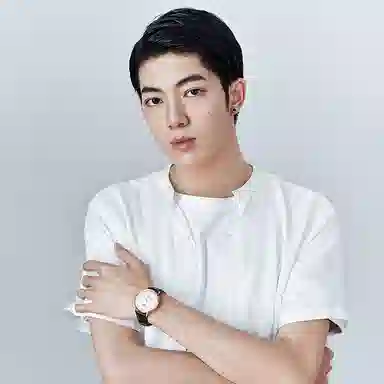 TIANWANGTWINKLE GS3851