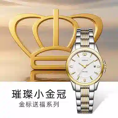 TIANWANG 18klogo 3731