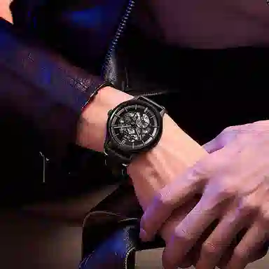 IW CARNIVAL HWGUOJI DW8588G