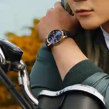 IW CARNIVAL HWGUOJI 528P