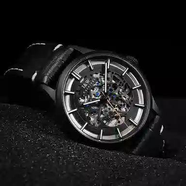 IW CARNIVAL HWGUOJI DW8588G