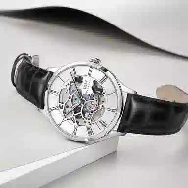 I&W Carnival DW8522G