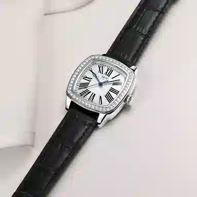 IW CARNIVAL HWGUOJI 637