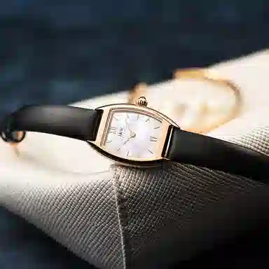 IW CARNIVAL HWGUOJI 3006