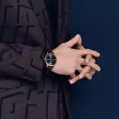 IW CARNIVAL HWGUOJI 528P