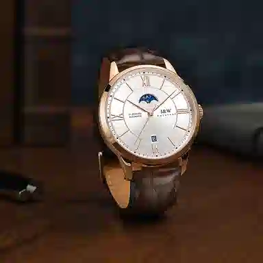 IW CARNIVAL HWGUOJI 528P