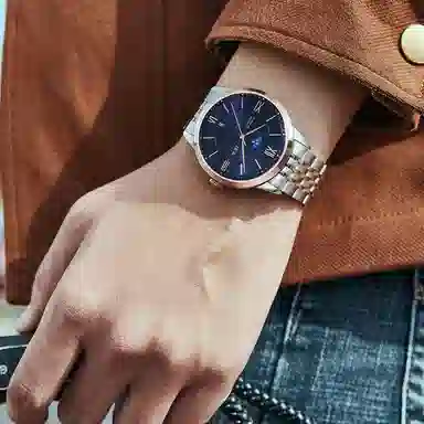 IW CARNIVAL HWGUOJI 528G