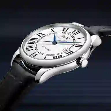 IW CARNIVAL HWGUOJI 665