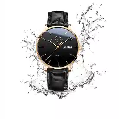 I&W Carnival IW8028PG