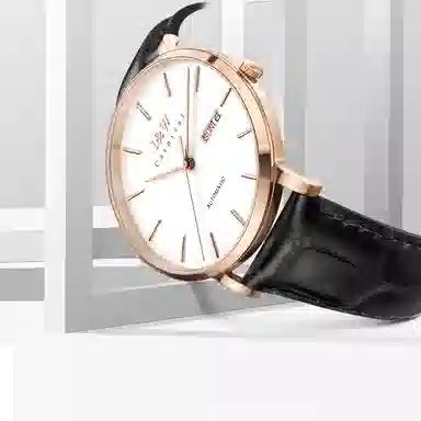 I&W Carnival IW8028PG