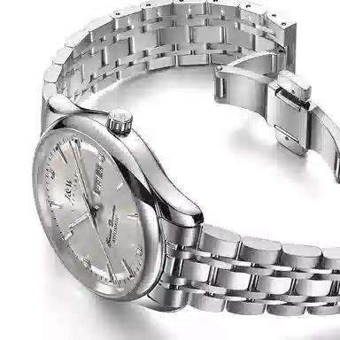 IW CARNIVAL HWGUOJI 809G