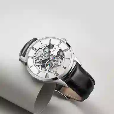 I&W Carnival DW8522G