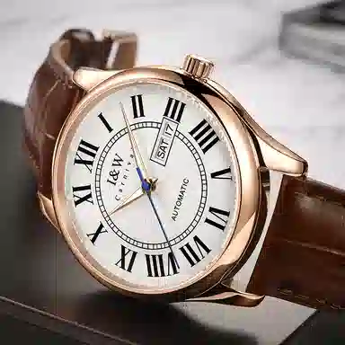 IW CARNIVAL HWGUOJI 55797