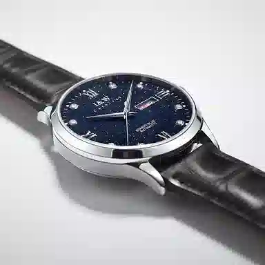 IW CARNIVAL HWGUOJI 658