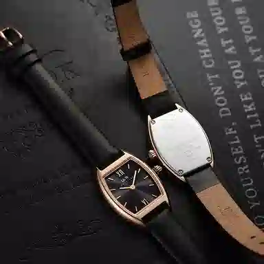 IW CARNIVAL HWGUOJI 3006