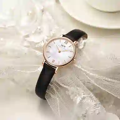 IW CARNIVAL HWGUOJI 3009LP