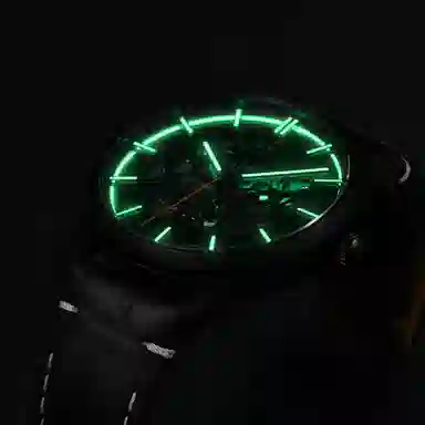 IW CARNIVAL HWGUOJI DW8588G