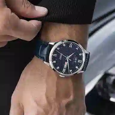 IW CARNIVAL HWGUOJI 658