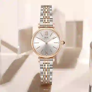 IW CARNIVAL HWGUOJI 8562