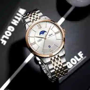 IW CARNIVAL HWGUOJI 528G