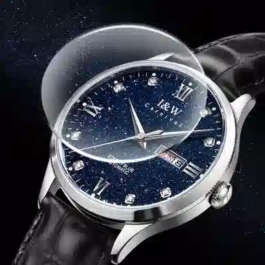 IW CARNIVAL HWGUOJI 658