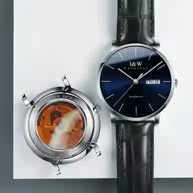 I&W Carnival IW8028PG