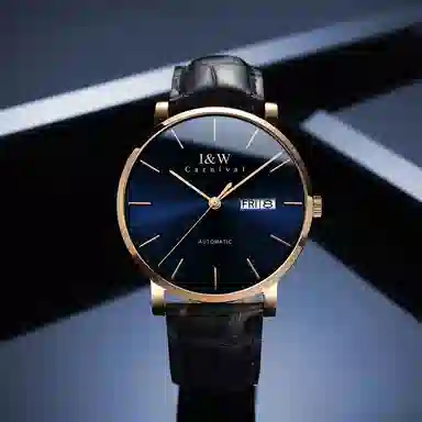 I&W Carnival IW8028PG