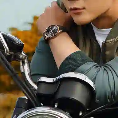 IW CARNIVAL HWGUOJI 528P