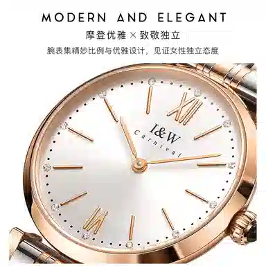 IW CARNIVAL HWGUOJI 8562