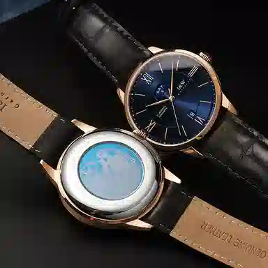 IW CARNIVAL HWGUOJI 528P