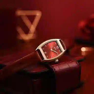 IW CARNIVAL HWGUOJI 3006