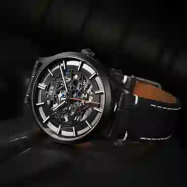 IW CARNIVAL HWGUOJI DW8588G