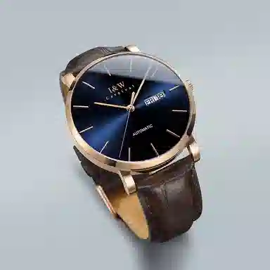 I&W Carnival IW8028PG