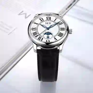 IW CARNIVAL HWGUOJI 685